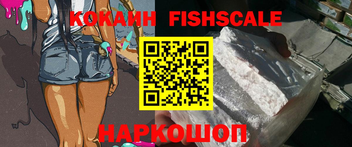 Cocaine FishScale  Вход с VPN  Щёкино 