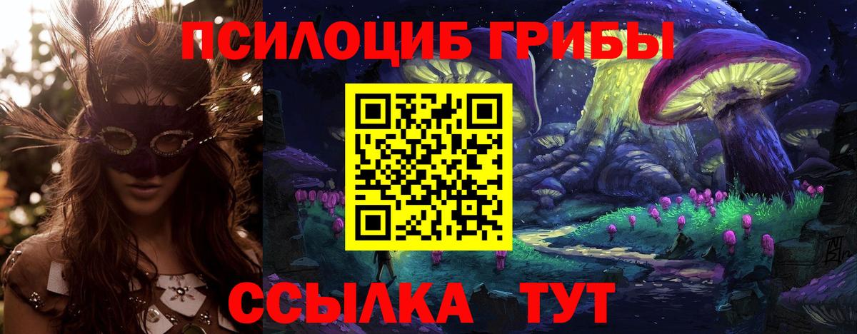 Щёкино  Галлюциногенные грибы ЛСД  Псилоцибиновые грибы GOLDEN TEACHER  Вход с VPN 